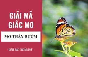 Mơ thấy bướm là điềm gì?