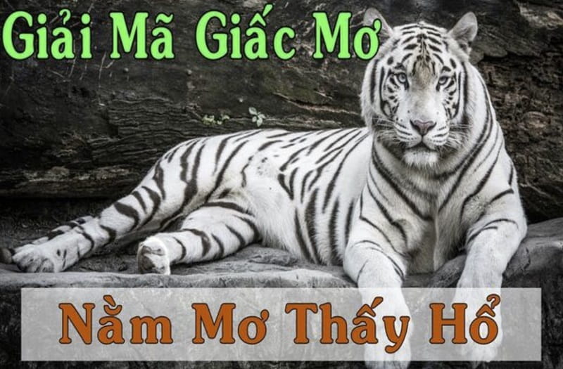 Mơ thấy hổ là điềm gì?