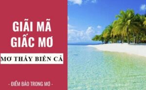 Giải mã mơ thấy biển